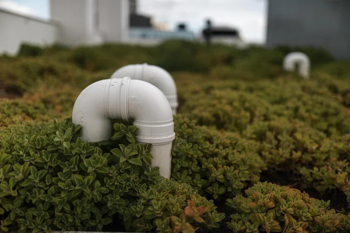 Renan Mattos / Agencia RBS