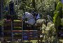 Atletas fazem reconhecimento da pista do torneio sul-americano de hipismo juvenil em Porto Alegre