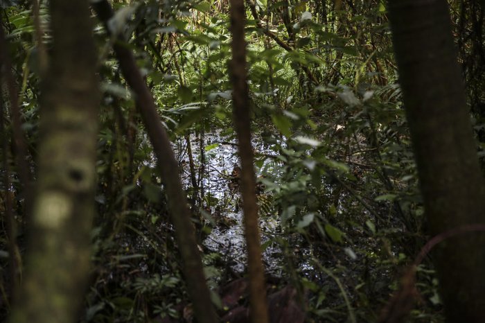 Local está alagado devido ao assoreamento do lago, ao vazamento de um reservatório e a problemas de escoamento