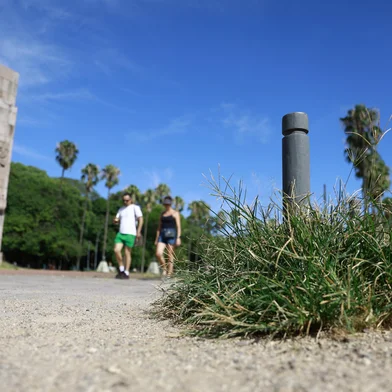 Porto Alegre, RS, Brasil — Quem usa a Redenção diariamente reclama da falta de cuidados: grama alta, brinquedos das crianças danificados e sensação de abandono.<!-- NICAID(16216738) -->