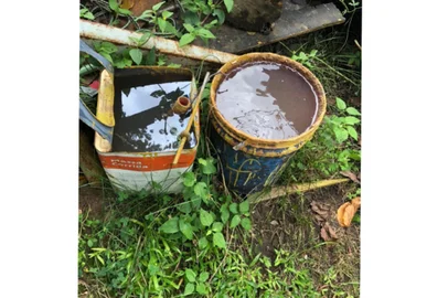 Vigilância Ambiental identifica mais dois focos do mosquito Aedes aegypti em Caxias do Sul<!-- NICAID(14720266) -->