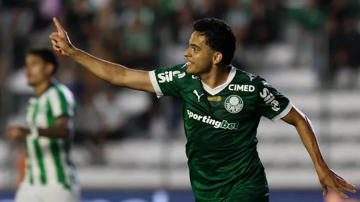 Cesar Greco/Palmeiras