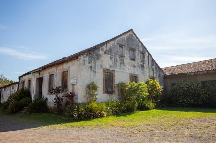 Movimento Curadoria e Projetos Culturais / Divulgação
