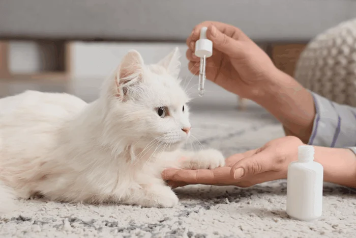 Pixel-Shot / Shutterstock | Portal EdiCase Pixel-Shot / Shutterstock | Portal EdiCase