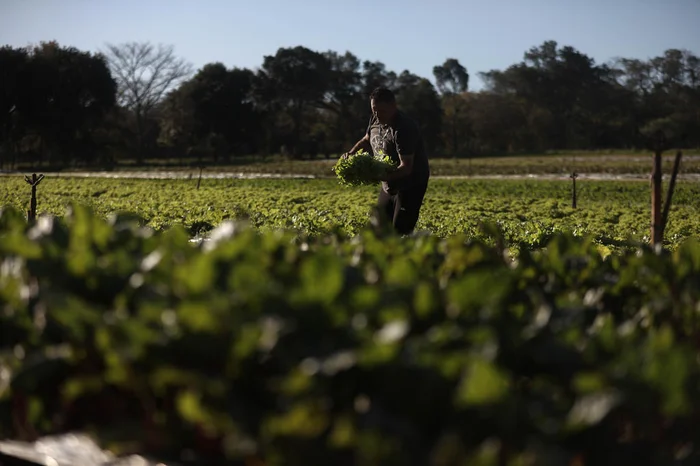 Renan Mattos / Agencia RBS