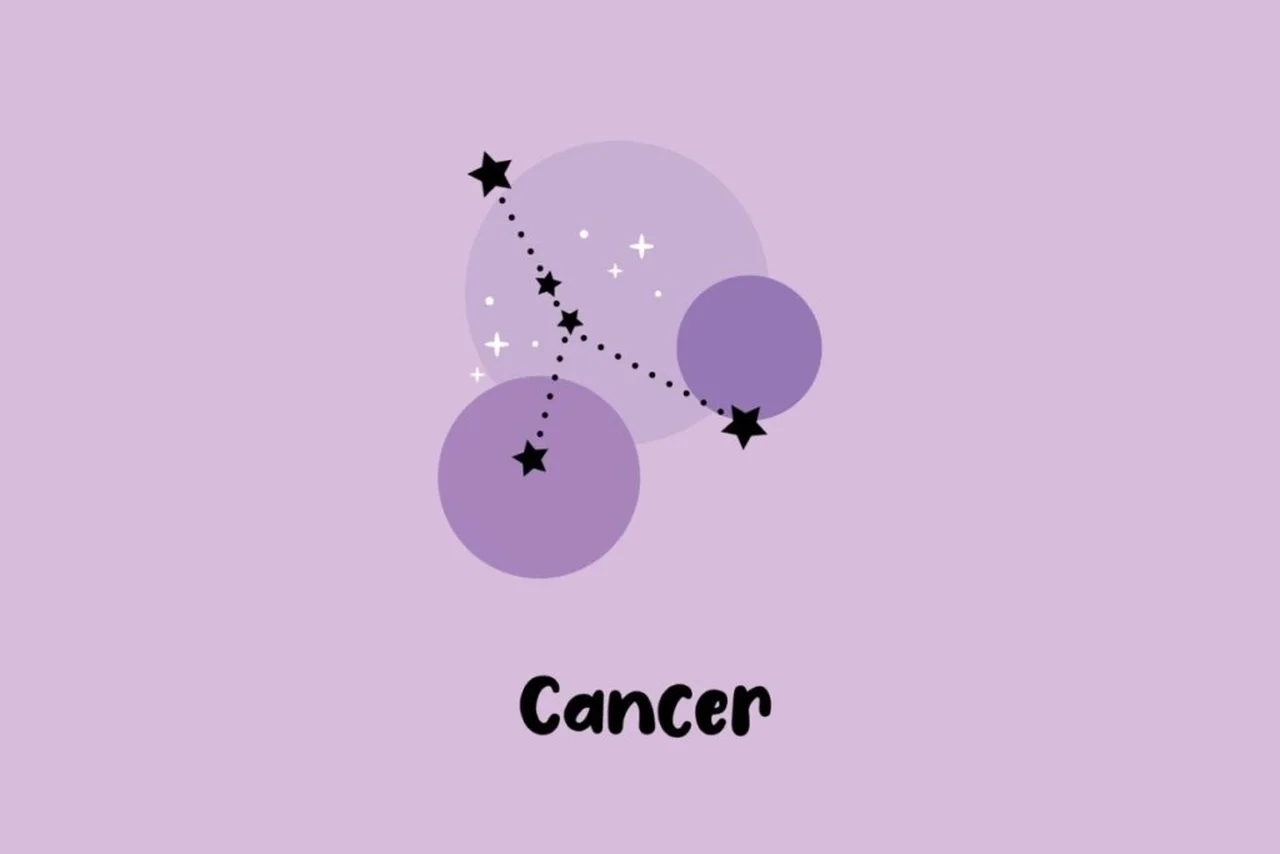Alyona Polieva Raven/Shutterstock | Portal EdiCase