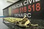 Polícia Civil Denarc apreende droga Peiote Mescalina Porto Alegre<!-- NICAID(15737904) -->