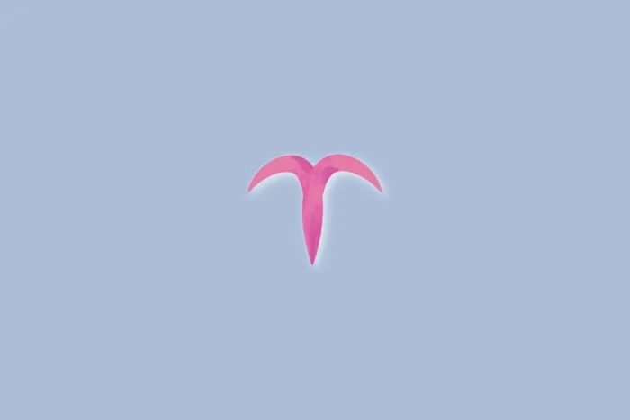 Morgenmuffell / Shutterstock | Portal EdiCase