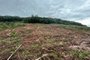 Impactos da chuva na agricultura de Caxias geram perda de R$85 milhões  <!-- NICAID(15766081) -->