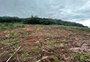 Impactos da chuva na agricultura e infraestrutura rural de Caxias provocam perdas de R$ 85,5 milhões