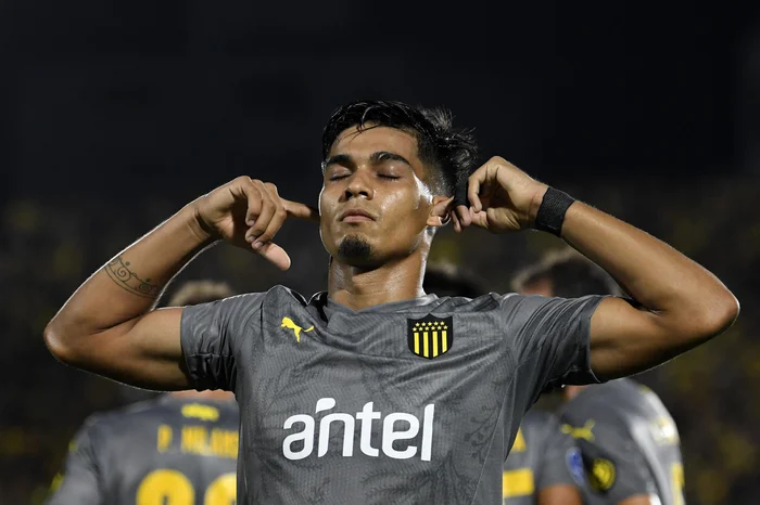 Pablo PORCIUNCULA / AFP