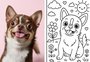 Como criar imagem no estilo "Bobbie Goods" no ChatGPT? Veja o passo a passo para montar desenhos para colorir