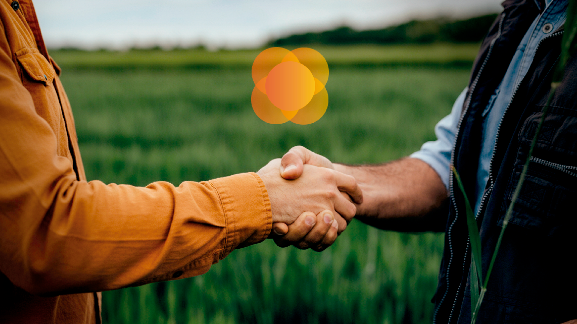 Cresol paga a cooperados mais de R$ 333 milh&otilde;es em juros sobre o capital social