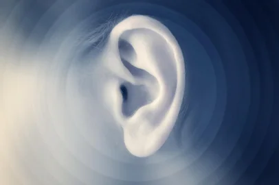 SoundFonte: 31635190<!-- NICAID(15547472) -->