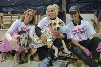 Letícia Burmann, Francisca Mary da Silva e Juliana Eggers Burmann, da ONG Paixão por Quarto Patas, no abrigo destinados aos pets no Parque Germânia.<!-- NICAID(15763675) -->