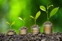 the light bulb sits on the ground Plants grow on stacked coins. Renewable energy production is essential for the future. Green businesses using renewable energy can limit climate change and global warming.Fonte: 560376481<!-- NICAID(15362450) -->