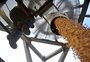 Queda de 41% no PIB da agropecuária confirma primeiros estragos da estiagem na economia 