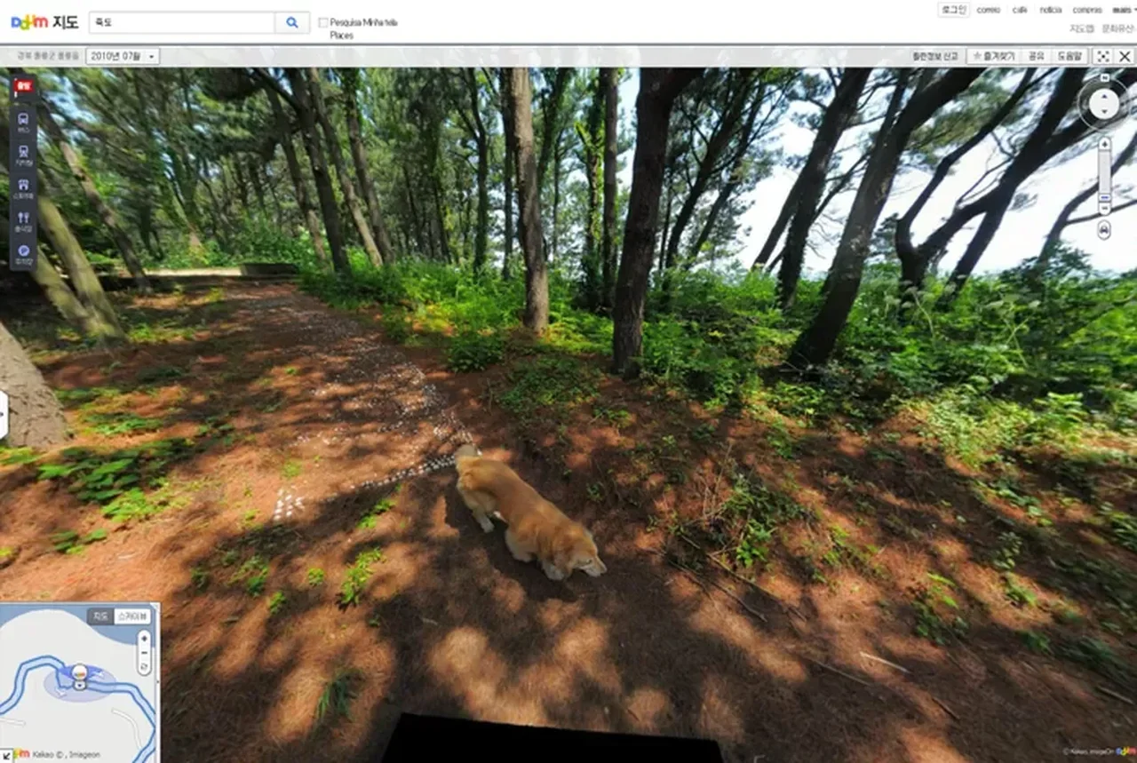 Reprodução/Daum Map