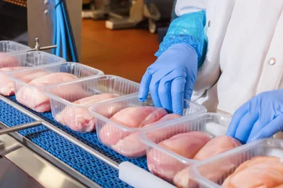 Exportações gaúchas de carne de frango em agosto registram alta de 3,4%<!-- NICAID(15550432) -->