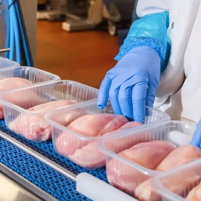 Exportações gaúchas de carne de frango em agosto registram alta de 3,4%<!-- NICAID(15550432) -->