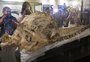 Encontrado no Peru o "fóssil mais bem preservado do mundo" de cachalote pré-histórico