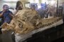 Press members record the unveiling of a prehistoric sperm whale fossil "preserved intact for seven million years, discovered by Peruvian paleontologist Aldo Benites in the Peruvian desert of Ocucaje, 350 kilometers south of Lima, during a presentation of the so called the "Macro-Raptor Sperm Whale of Ocucaje", at the National Natural History in Lima on February 15, 2023. - "This is the best preserved fossil in the world, there is none that compares to it in quality," said Benites, leading the excavation team which found the fossil. "Usually you get fragments of teeth or jawbones," but in this case it is "the entire skull with ear bones, plus two articular vertebrae," Benites explained. (Photo by Cris BOURONCLE / AFP)Editoria: SCILocal: LimaIndexador: CRIS BOURONCLESecao: paleontologyFonte: AFPFotógrafo: STF<!-- NICAID(15350981) -->