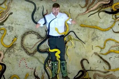O influenciador digital e Youtuber Jimmy Donaldson, mais conhecido como MrBeast, visitou os "cinco lugares mais mortais do planeta" e elegeu a Ilha da Queimada Grande popularmente chamada de Ilha das Cobras, no litoral de São Paulo, como a mais assustadora.<!-- NICAID(16004574) -->