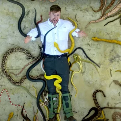 O influenciador digital e Youtuber Jimmy Donaldson, mais conhecido como MrBeast, visitou os "cinco lugares mais mortais do planeta" e elegeu a Ilha da Queimada Grande popularmente chamada de Ilha das Cobras, no litoral de São Paulo, como a mais assustadora.<!-- NICAID(16004574) -->