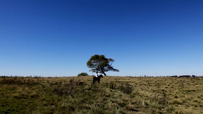 Festival de Gramado / Divulgação