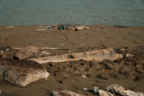 Rafael Amon-Ha / Divulgação image