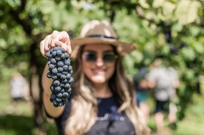 Coluna Sara - Vale dos Vinhedos<!-- NICAID(16227481) -->