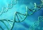 Pela primeira vez, genoma humano é sequenciado por completo