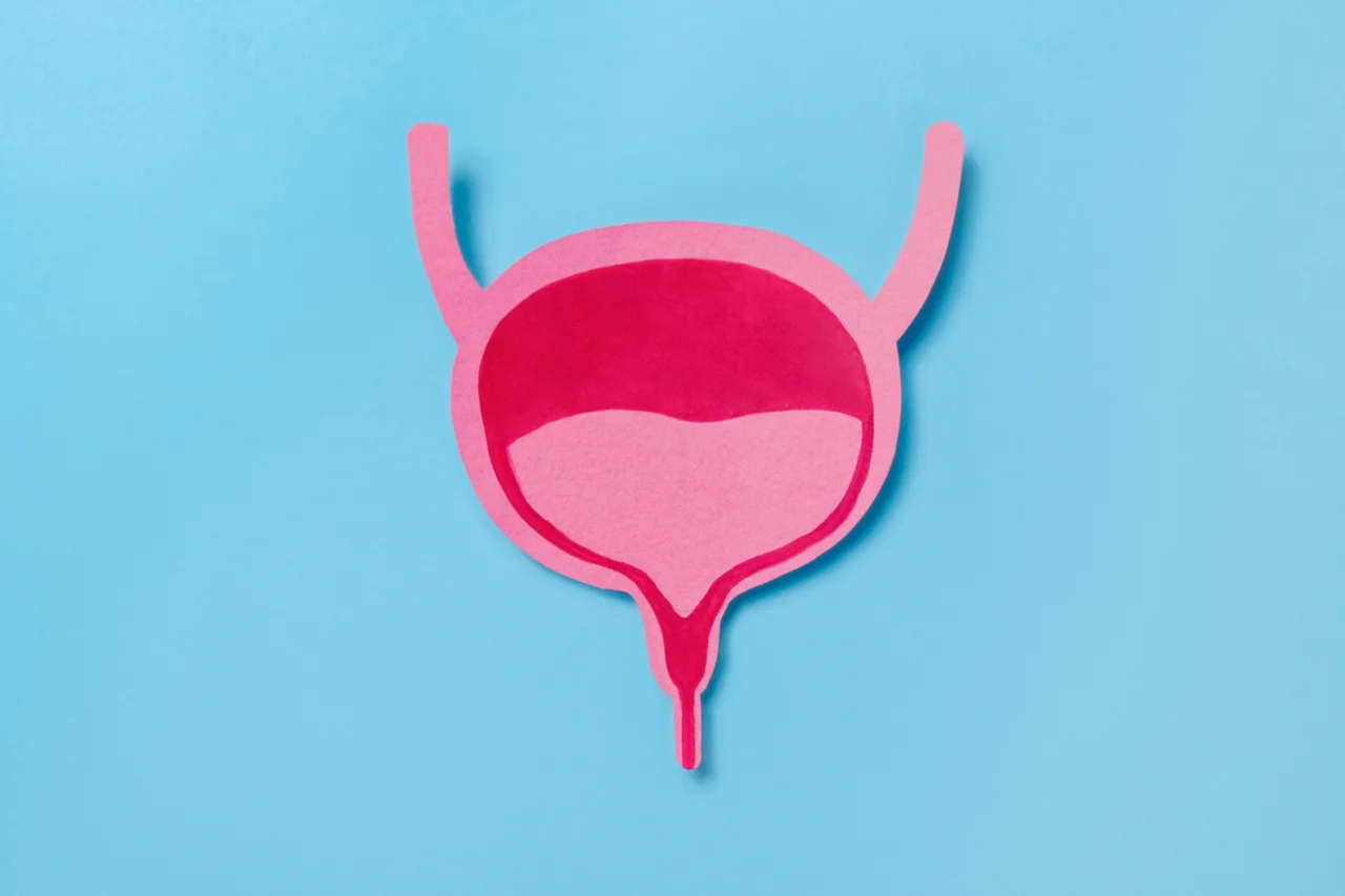 Jannissimo/Shutterstock | Portal EdiCase