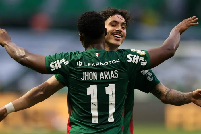 Cesar Greco / Palmeiras