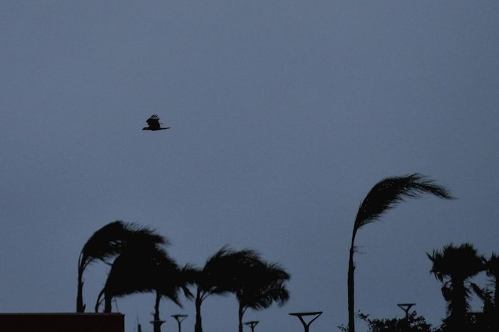 Lauro Alves / Agencia RBS