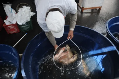 CAXIAS DO SUL, RS, BRASIL (31/03/2021)Feira do peixe vivo na Praça Dante. (Antonio Valiente/Agência RBS)<!-- NICAID(14747274) -->