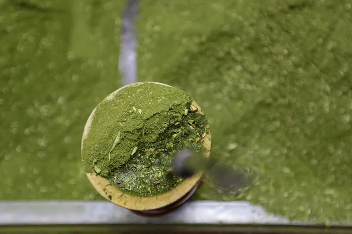 André Ávila / Agencia RBS André Ávila / Agencia RBS