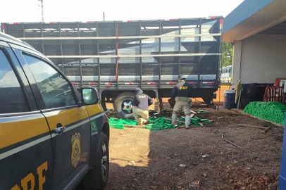 PRF apreende mais de meia tonelada de maconha escondida em caminhão boiadeiro em Seberi  <!-- NICAID(15628102) -->