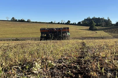 Agricultores gaúchos reduzem aposta no trigo e Emater estima queda de 10% na área plantada<!-- NICAID(16061614) -->