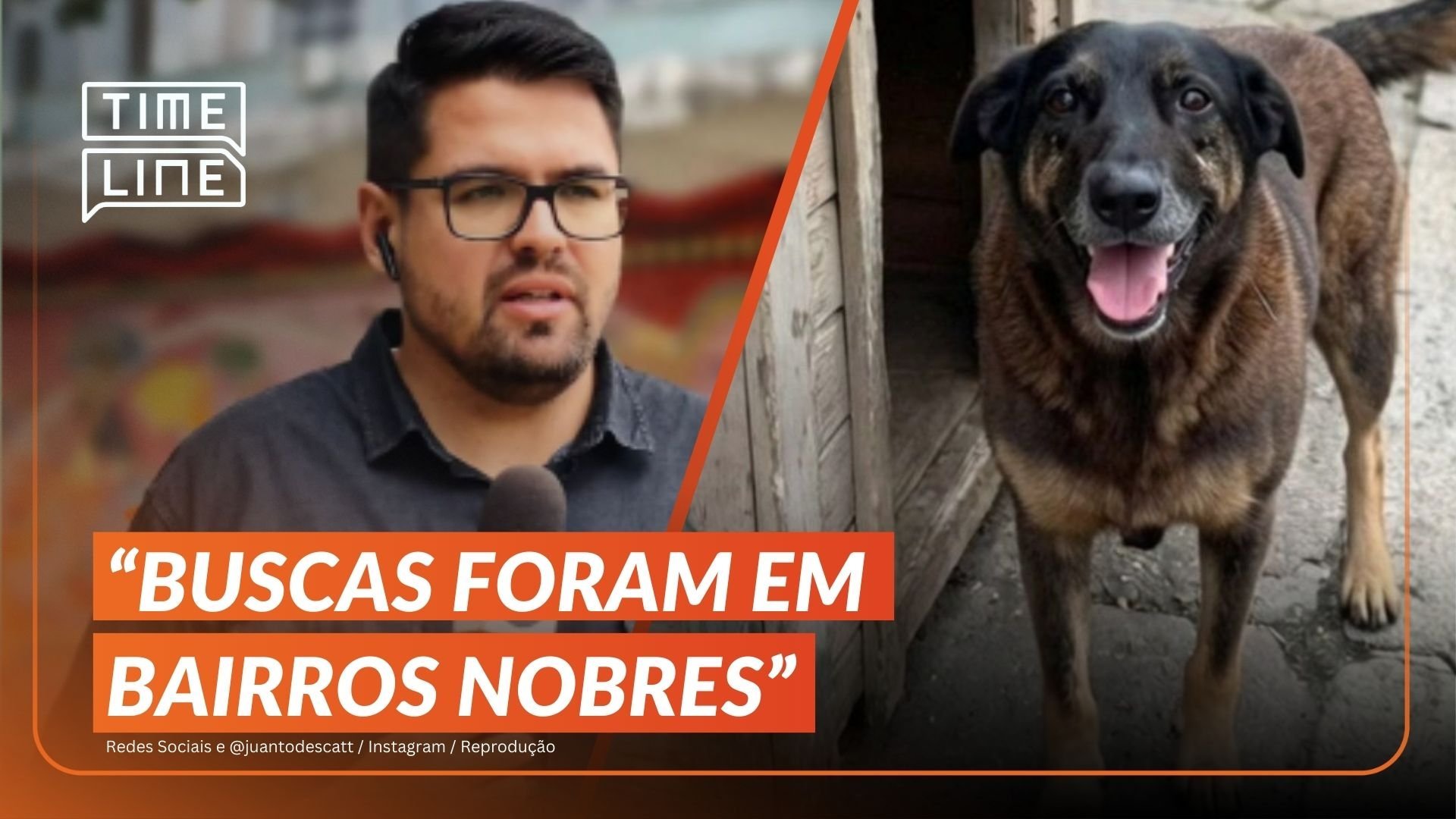 Caso Orelha: Pol&iacute;cia de SC investiga morte e maus-tratos a c&atilde;o em Florian&oacute;polis