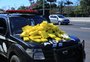 Polícia Civil apreende cerca de 100 quilos de cocaína em Sapucaia do Sul