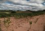 Governo acena com modelo para renegociação, agro faz contraproposta e definição deve sair nos próximos dias