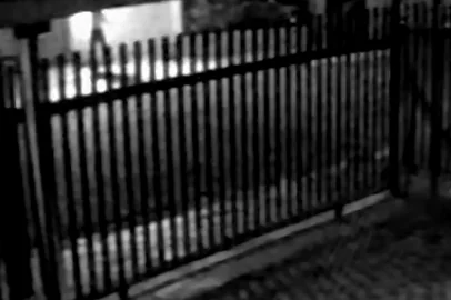 Reprodução / Reprodução image