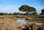 Concessionária e associação de piqueteiros entram com recursos para retomar obras no Parque Maurício Sirotsky Sobrinho