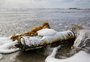 Retrospectiva 2022: desequilíbrio ambiental em evidência