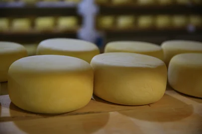 CARLOS BARNOSA - RS- BR - 25.07.2019Selo Arte para o Campo e Lavoura.O Selo Arte é uma certificação do governo federal que vai possibilitar a venda de produtos artesanais - num primeiro momento somente queijos.FOTÓGRAFO: TADEU VILANI AGÊNCIARBS Editoria Campo e Lavoura.<!-- NICAID(14179887) -->