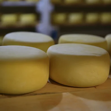 CARLOS BARNOSA - RS- BR - 25.07.2019Selo Arte para o Campo e Lavoura.O Selo Arte é uma certificação do governo federal que vai possibilitar a venda de produtos artesanais - num primeiro momento somente queijos.FOTÓGRAFO: TADEU VILANI AGÊNCIARBS Editoria Campo e Lavoura.<!-- NICAID(14179887) -->