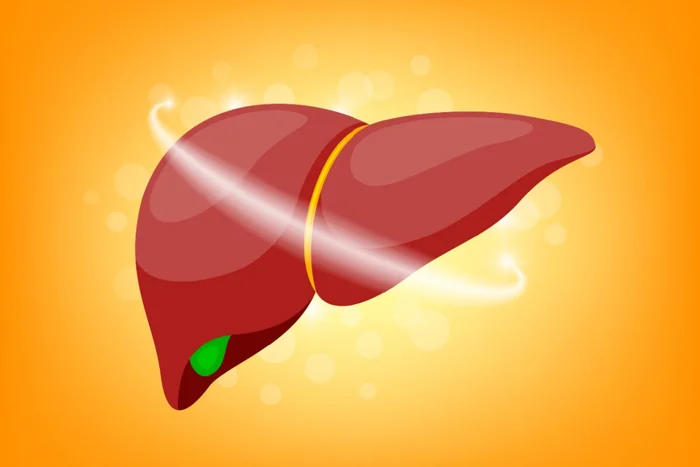 wowowG / Shutterstock | Portal EdiCase wowowG / Shutterstock | Portal EdiCase