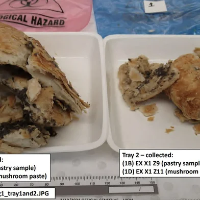 Foto de pratos contendo amostras de um prato de filé Wellington misturado com cogumelos tóxicos, preparado pela cozinheira caseira australiana Erin Patterson, durante uma análise toxicológica no Instituto de Medicina Legal de Victoria<!-- NICAID(16074668) -->