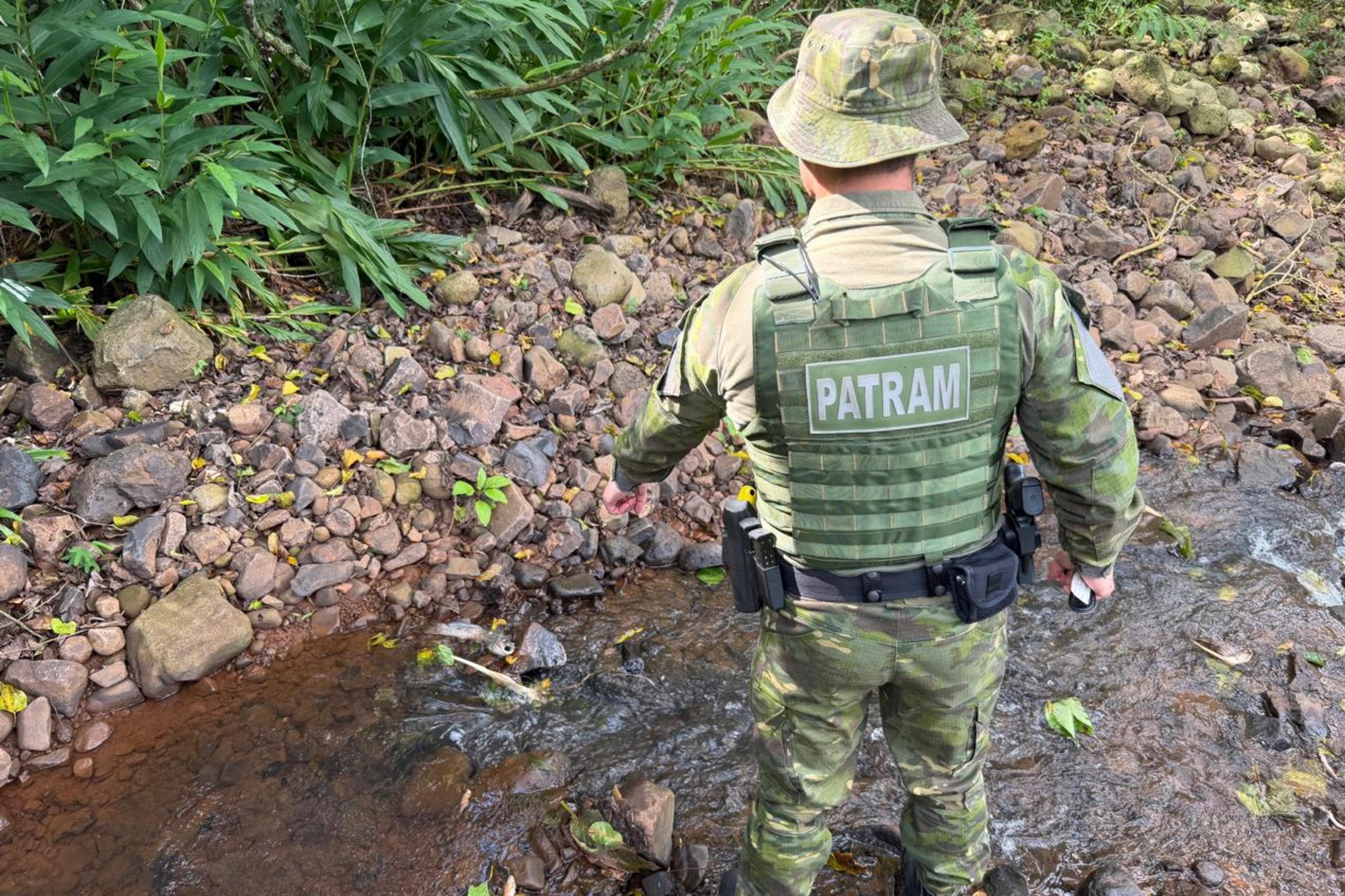 Vazamento de dejetos su&iacute;nos contamina rio em Seberi